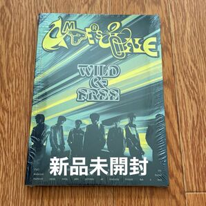 AMPERS&ONE WILD&FREE CD 未開封