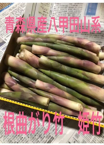 八甲田山系 3キロ以上 青森県産 根曲り竹 姫竹 根曲がり竹 タケノコ 山菜