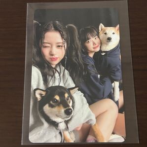 lesserafim UNFORGIVEN weverse 封入 ユニット トレカ ユンジン ウンチェ