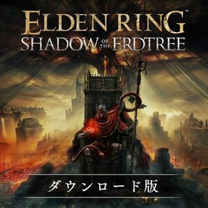 エルデンリング ELDEN RING SHADOW OF THE ERDTREE DLC Steam版