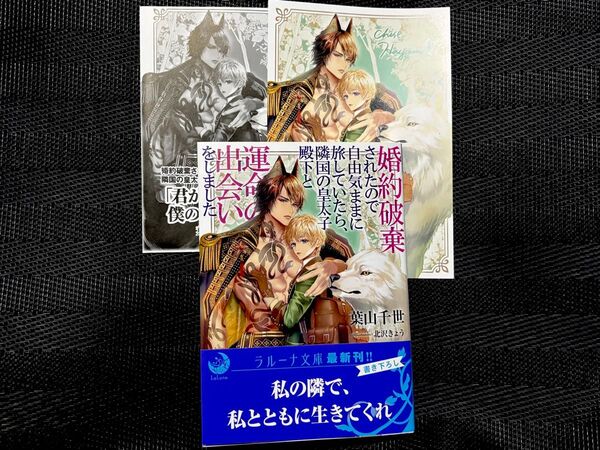 婚約破棄されたので自由気ままに旅していたら、隣国の皇太子殿下と運命の出会いをしました (ラルーナ文庫) 葉山千世/著