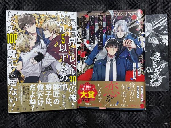 三十代で再召喚されたが、誰も神子だと気付かない 司馬犬 高山しのぶ この世界にはレベル30の俺と はいじ