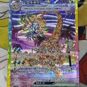 ポケモンカード アローラナッシーex SAR