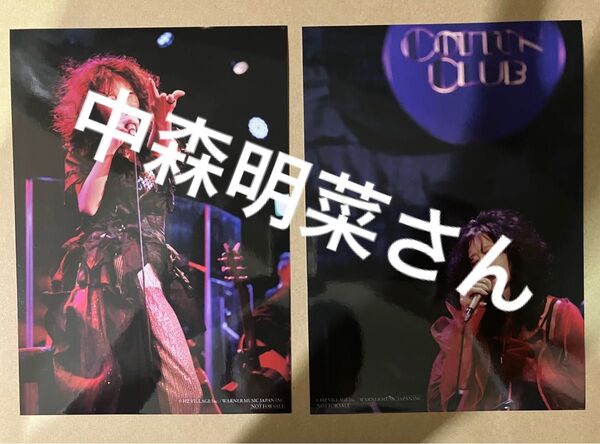 中森明菜さん ALDEABAR 生写真2枚
