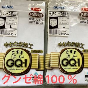 グンゼ天引きブリーフ綿100% 前あきLサイズ2枚