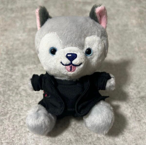 【美品*.゚】ノキドア 御殿場倒理 お座りぬいぐるみ 松村北斗 倒理犬