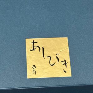 乃りたけ 急須 湯呑み5個 セット