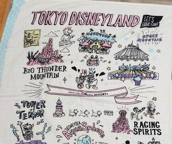 東京ディズニーリゾート タオルケット