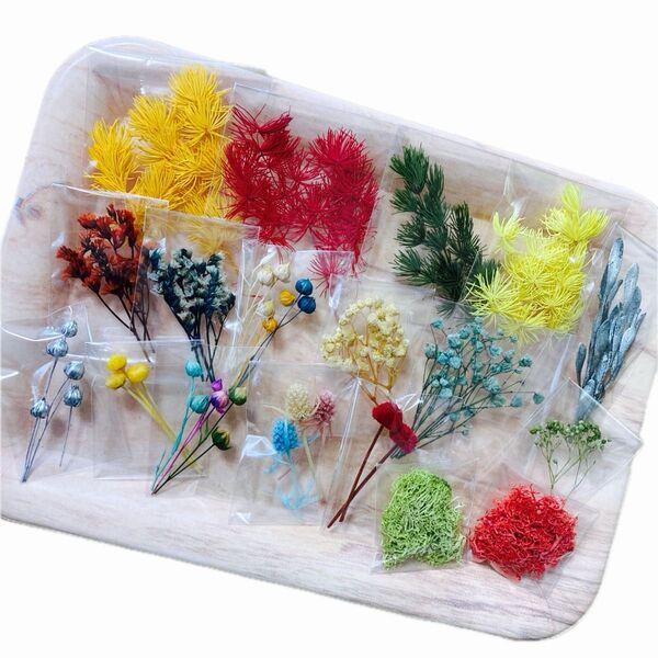 小分け花材セット 71 練習用花材 A6ボックス レジン 訳あり花材 ハンドメイド ドライフラワー プリザーブドフラワー