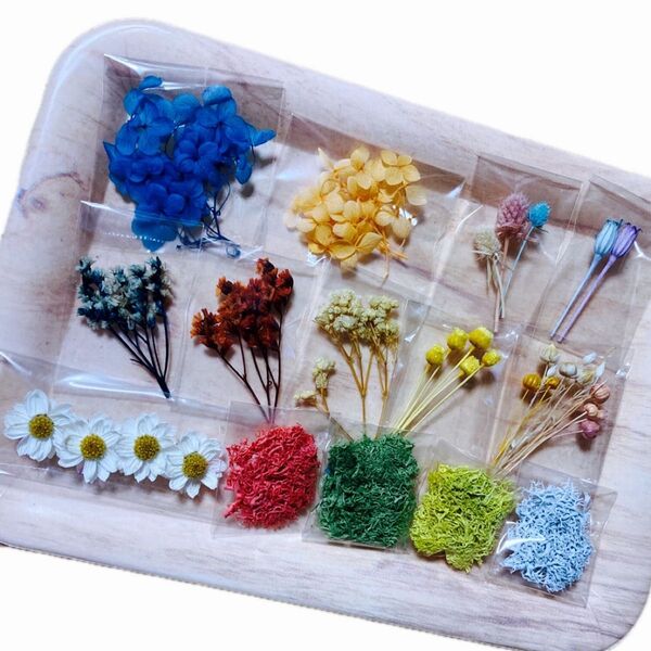 小分け花材セット 72 練習用花材 A6ボックス レジン 訳あり花材 ハンドメイド ドライフラワー プリザーブドフラワー