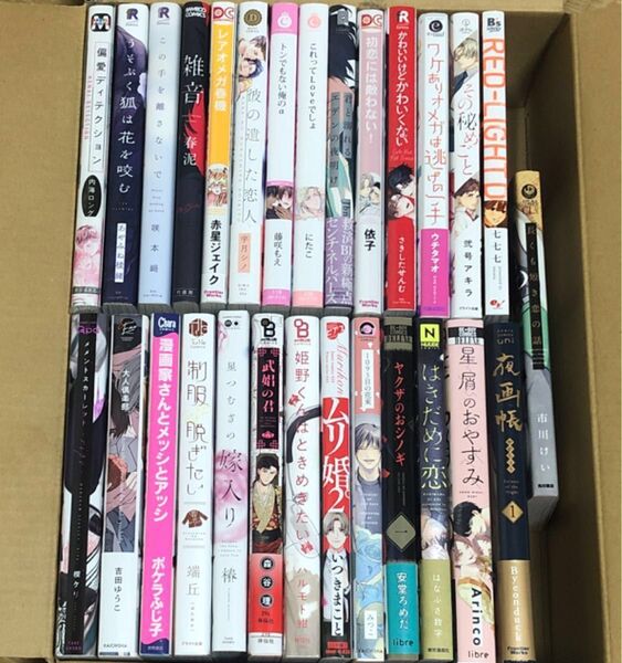 BLコミック 28冊セット まとめ売り バラ売り可能 リーフレット ペーパー 特典付き