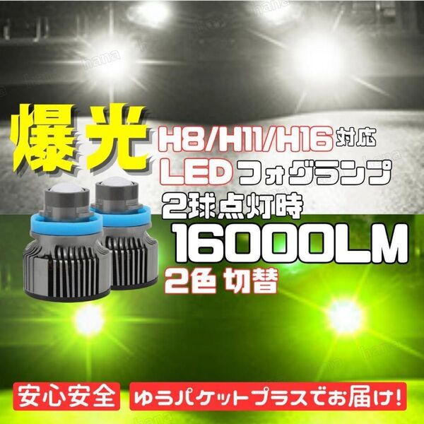 爆光 LED 高輝度 レーザー仕様 フォグランプ 2色切替 緑 白 H8 H11 H16 汎用 集光レンズ レーザービーム