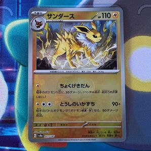 サンダース マスターボール テラスタルフェスex