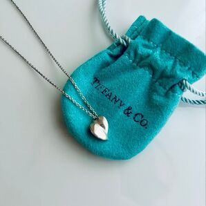 レア/Tiffany×フランクゲーリー/シルバー925ネックレス/ティファニー