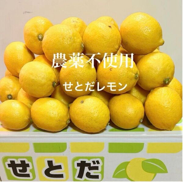 国産瀬戸田レモン