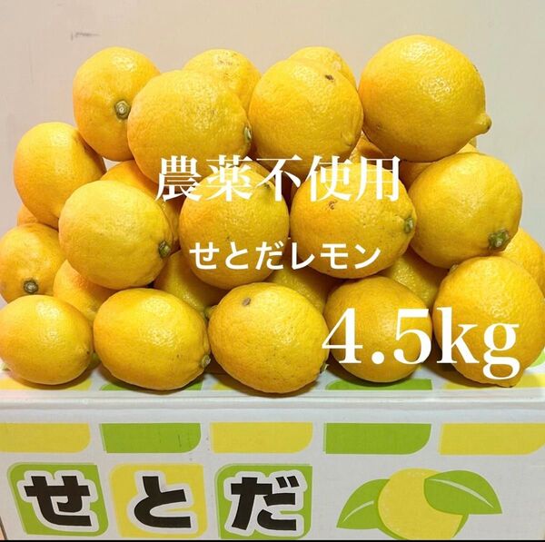 国産瀬戸田レモン4.5kg前後