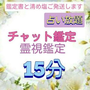 チャット鑑定 霊視 15分間 占い放題 鑑定書と清め塩付