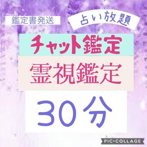 《今だけ価格!!》チャット鑑定 霊視 30分間 占い放題 鑑定書付
