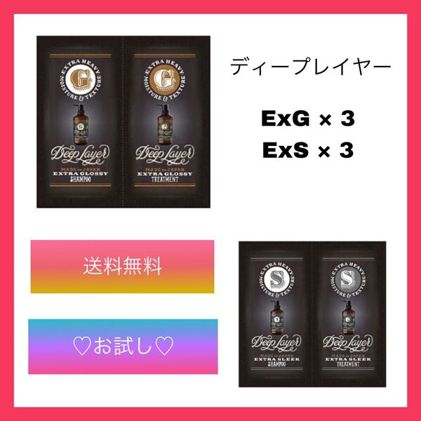 ディープレイヤー Exg ExS シャンプー トリートメント 6セット 送料無料