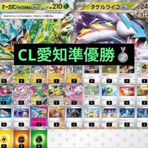 CL愛知準優勝 タケルライコex ライコポン デッキ 構築済みデッキ ポケモンカードゲーム