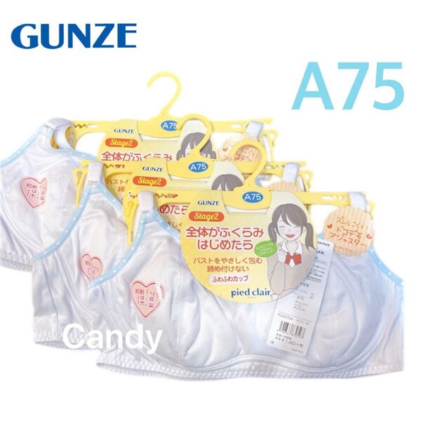 GUNZE グンゼ ピエクレール pied clair ジュニアブラ 3枚セット