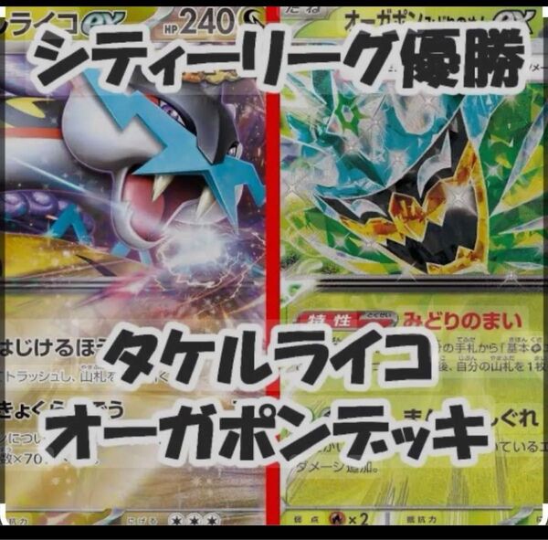 タケルライコex構築済みデッキ スリーブ・デッキケース付き ポケカ ポケモンカード 環境トップ Tier1