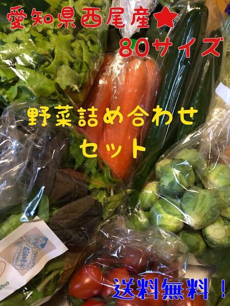 愛知県西尾市産 野菜の詰め合わせ 80サイズ 火曜/木曜/日曜発送