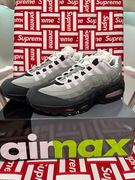新品未使用 Nike Women's Air Max 95 Big Bubble Pink Foam ナイキ エアマックス 29