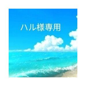 ■ハル様専用■2025年度対応【完璧フルセット】 ■第二種電気工事士技能試験合格キッド