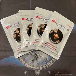 ビタブリッド ターミナリアファースト プロフェッショナル4 120粒入 × 4袋