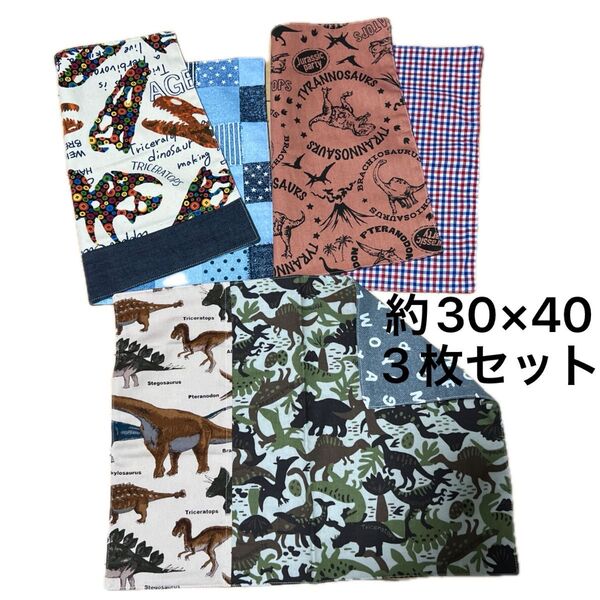 ハンドメイド★リバーシブルランチョンマット★恐竜★約30×40