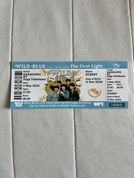 WILD BLUE チケット半券
