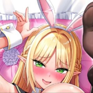 アリス タペストリー みるくふぁくとりー げっちゅ屋 getchu みるふぁく