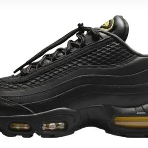 Corteiz × Nike Air Max 95