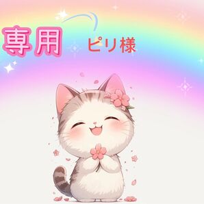ピリ様専用ヘアピン