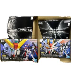 RG デスティニーガンダム ストライクフリーダムガンダム 光の翼 リアルグレード