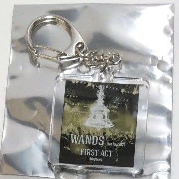 WANDS Live Tour 2025 ~TIME STEW~ ランダムキーホルダー 1