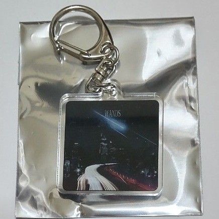 WANDS Live Tour 2025 ~TIME STEW~ ランダムキーホルダー ⑩