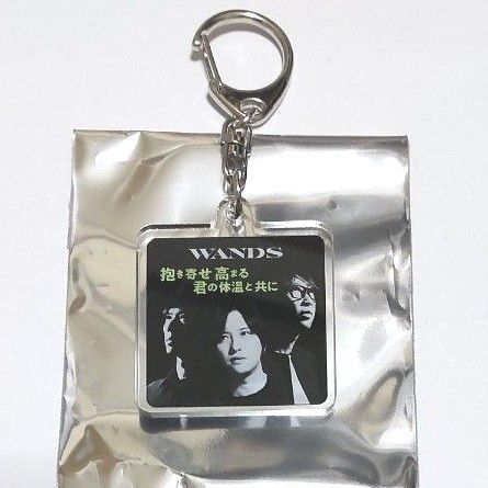 WANDS Live Tour 2025 ~TIME STEW~ ランダムキーホルダー ③