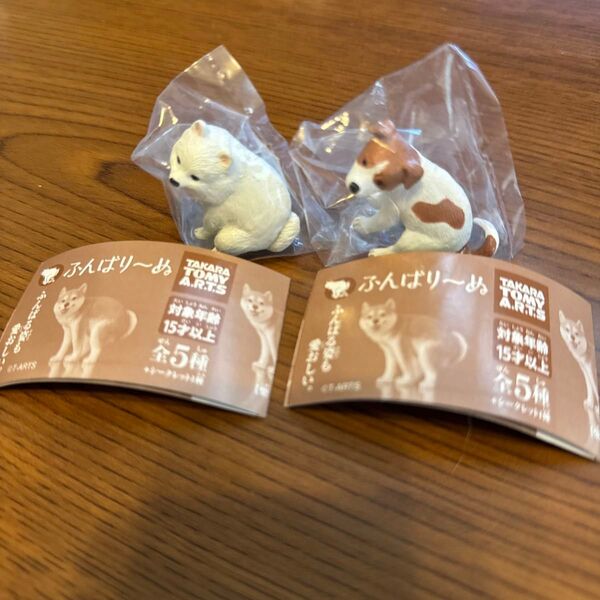 ふんばりーぬ まとめ売り