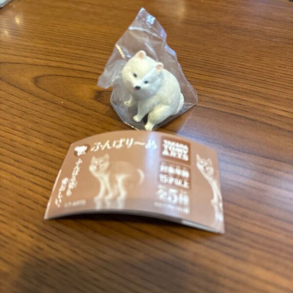 ふんばりーぬ ポメラニアン