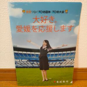 水樹奈々 大好き。愛媛を応援しますVer (バージョン) 愛媛銀行 非売品 クリアファイル