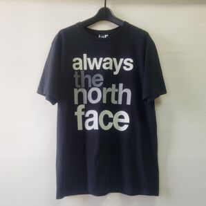 「THE NORTH FACE」 半袖シャツ Tシャツ XLサイズ メンズ
