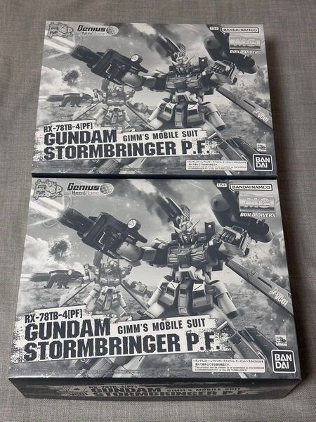 未組立 ガンプラ MG 1/100 ガンダムストームブリンガー P.F. ×2
