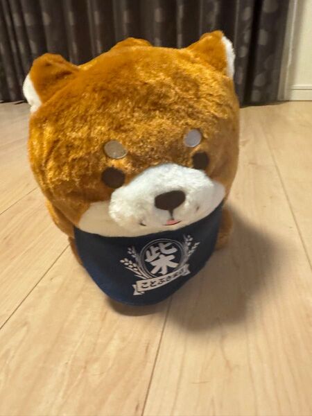 ことぶき米店 忠犬もちしば ぬいぐるみ