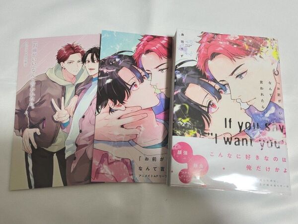 「お前がいい」なんて言われたら。 /アニメイト有償特典小冊子、リーフレット付き