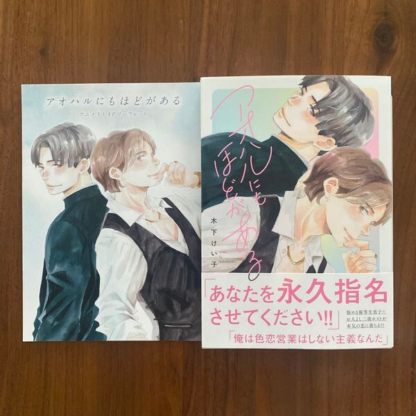 アオハルにもほどがある (特典リーフレット付) 木下けい子