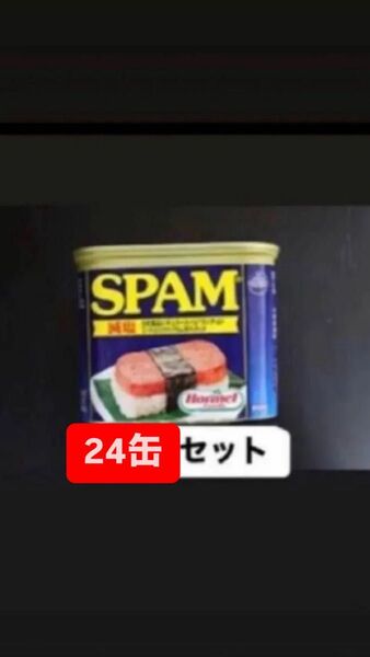 スパム ポーク 24缶 減塩