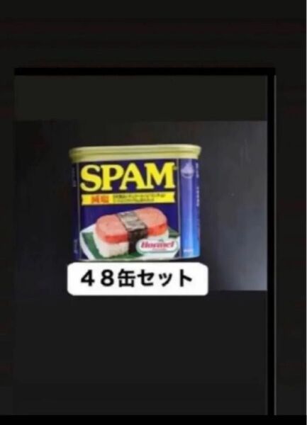 スパム ポーク 48缶 減塩