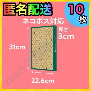 ネコポス用段ボール 専用box 薄型段ボール 小型 10枚 MT20250502